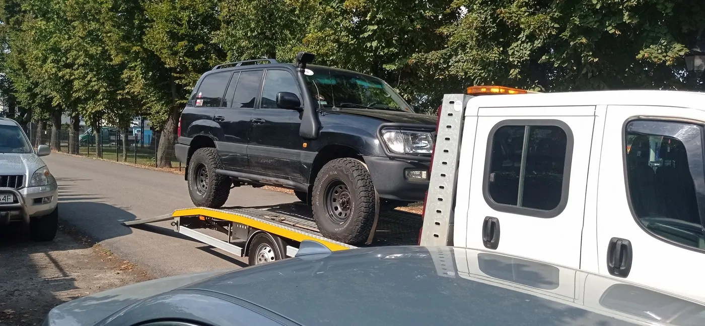 Jeep na lawecie Zając-Hol